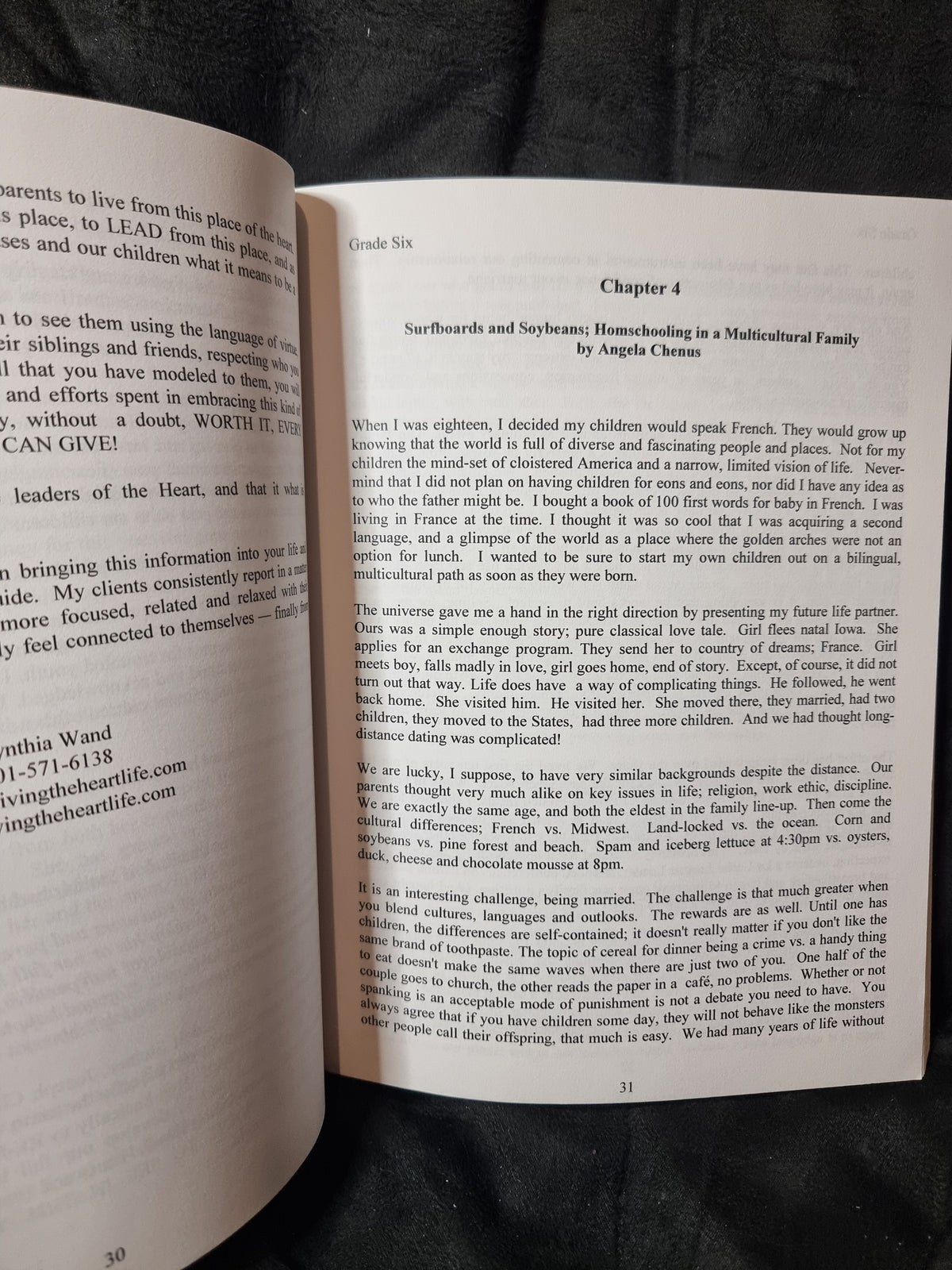 A Journey Through Waldorf Homeschooling Grade Six