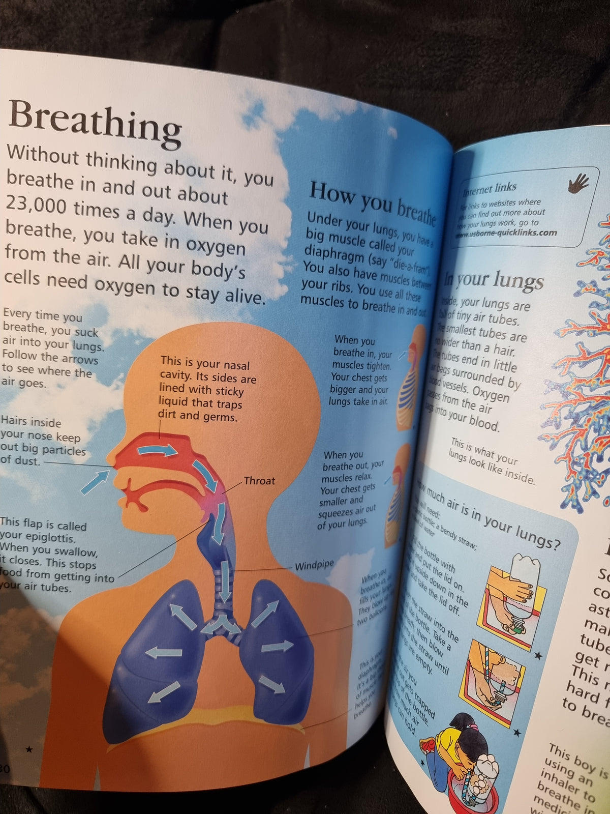 Usborne First Encyclopedia of the Human Body