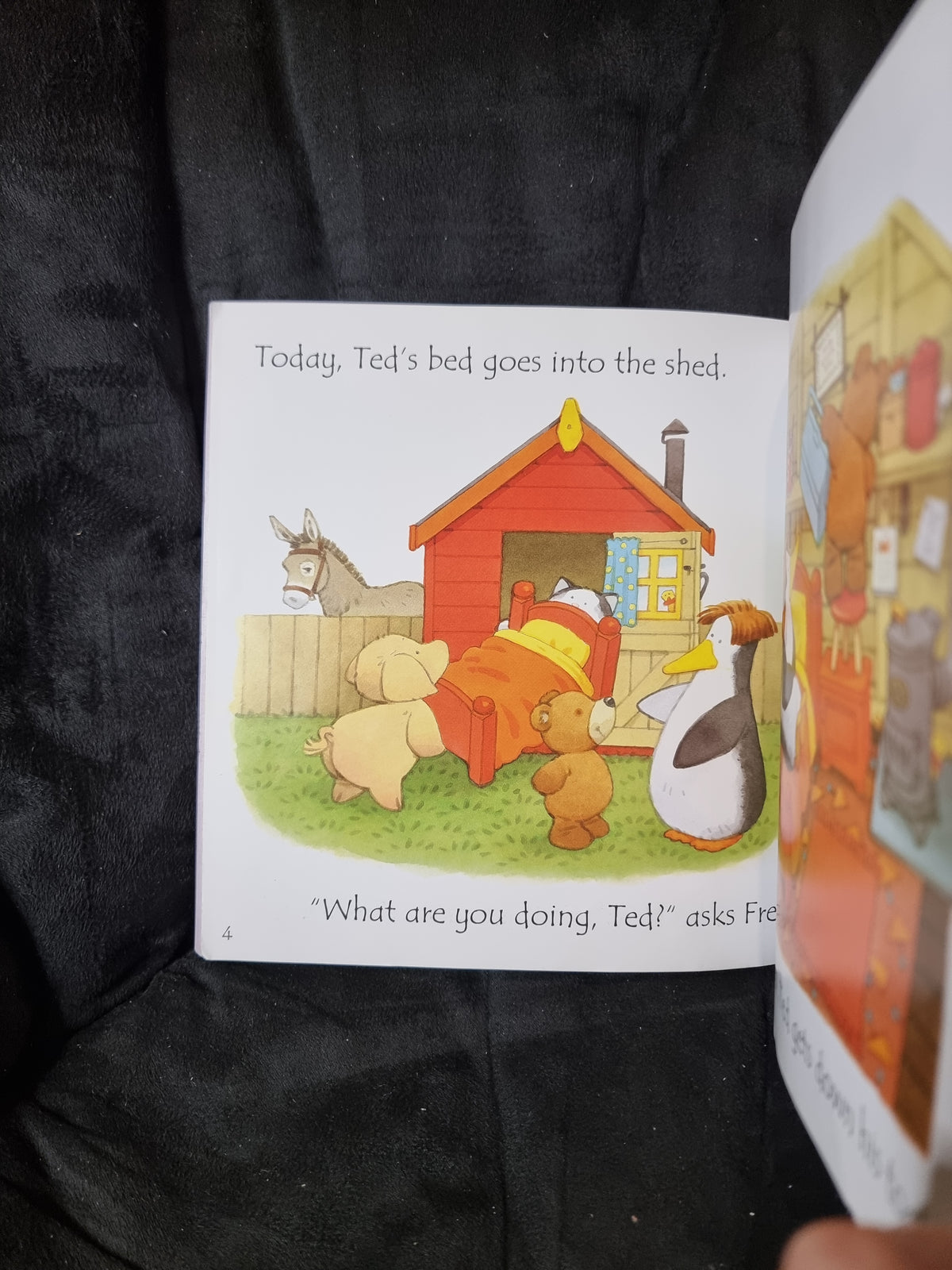 Usborne Phonics - Ted's Shed