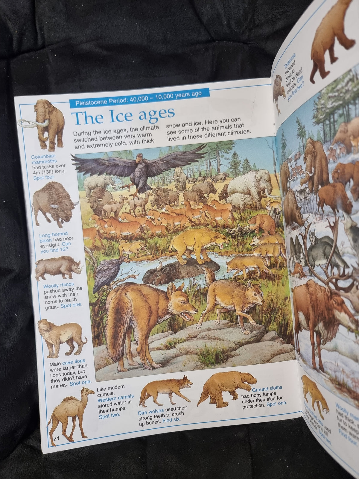 Usborne The Great Dinosaur Search