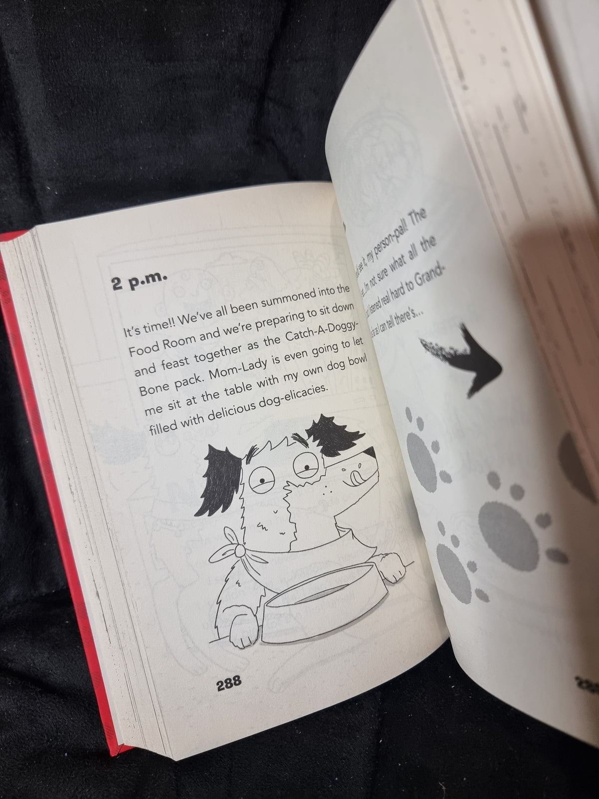 Dog Diaries - Double Dog Dare
