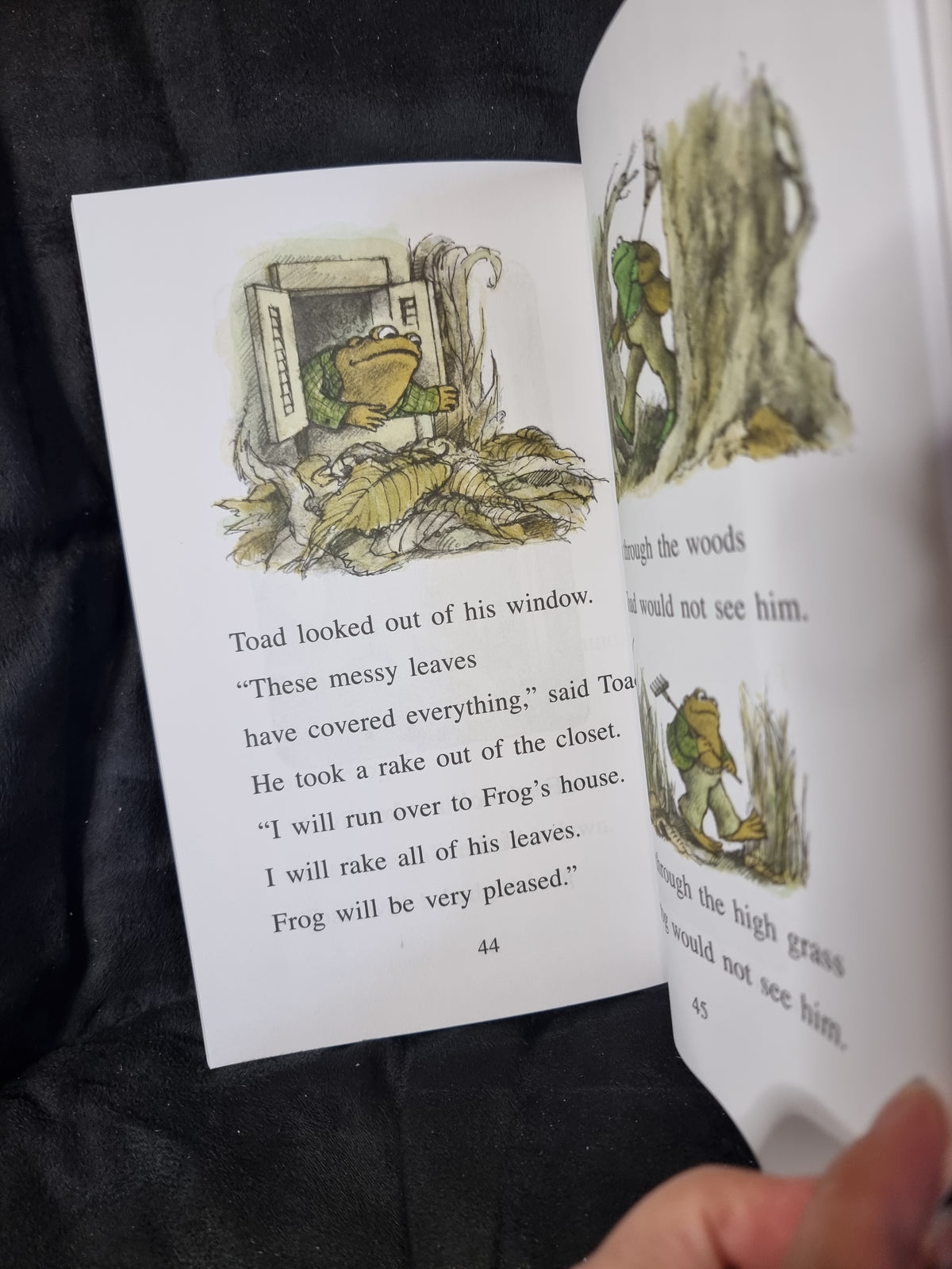 Frog and Toad All Year