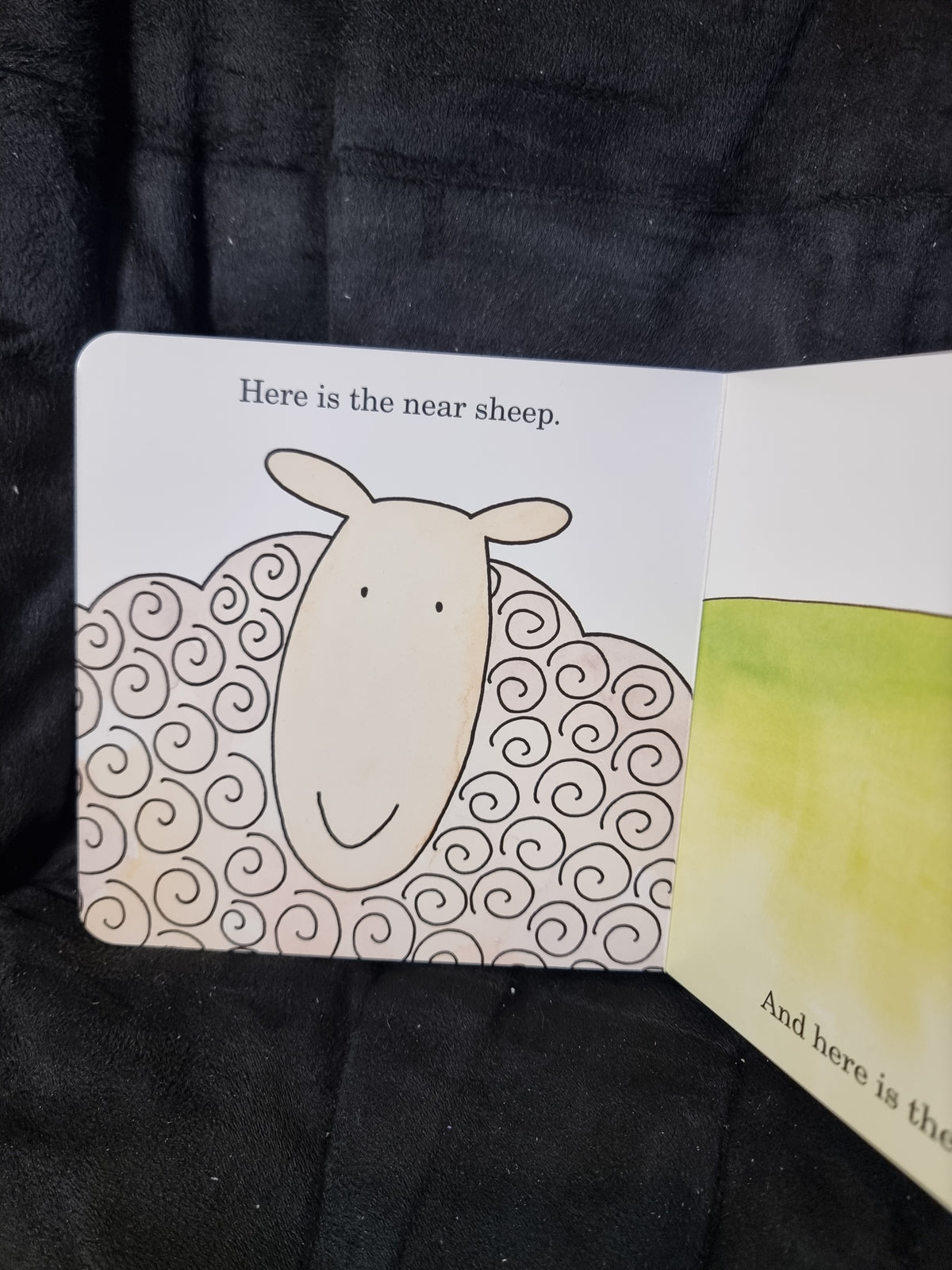 Where is the Green Sheep?