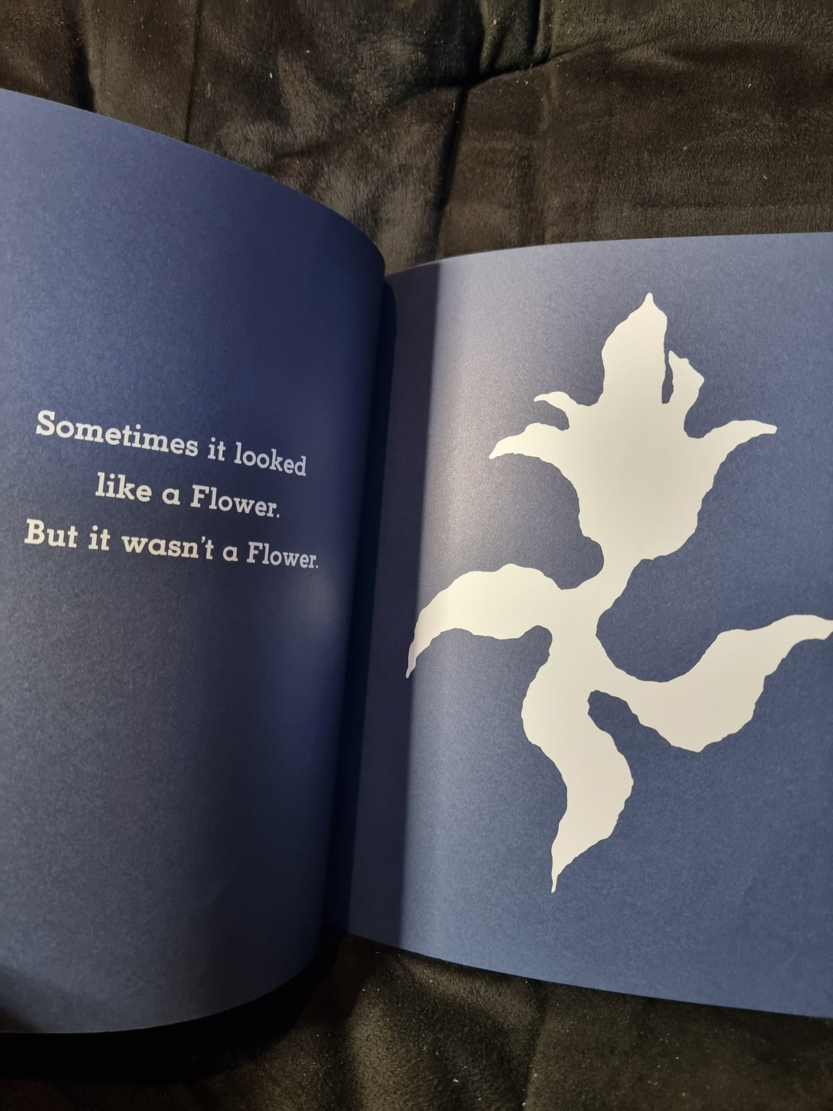It Looked Liked Spilt Milk