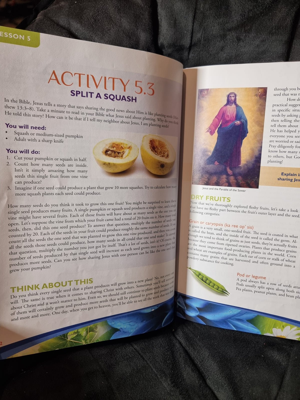 Apologia Young Explorers Series Exploring Creation with Botany