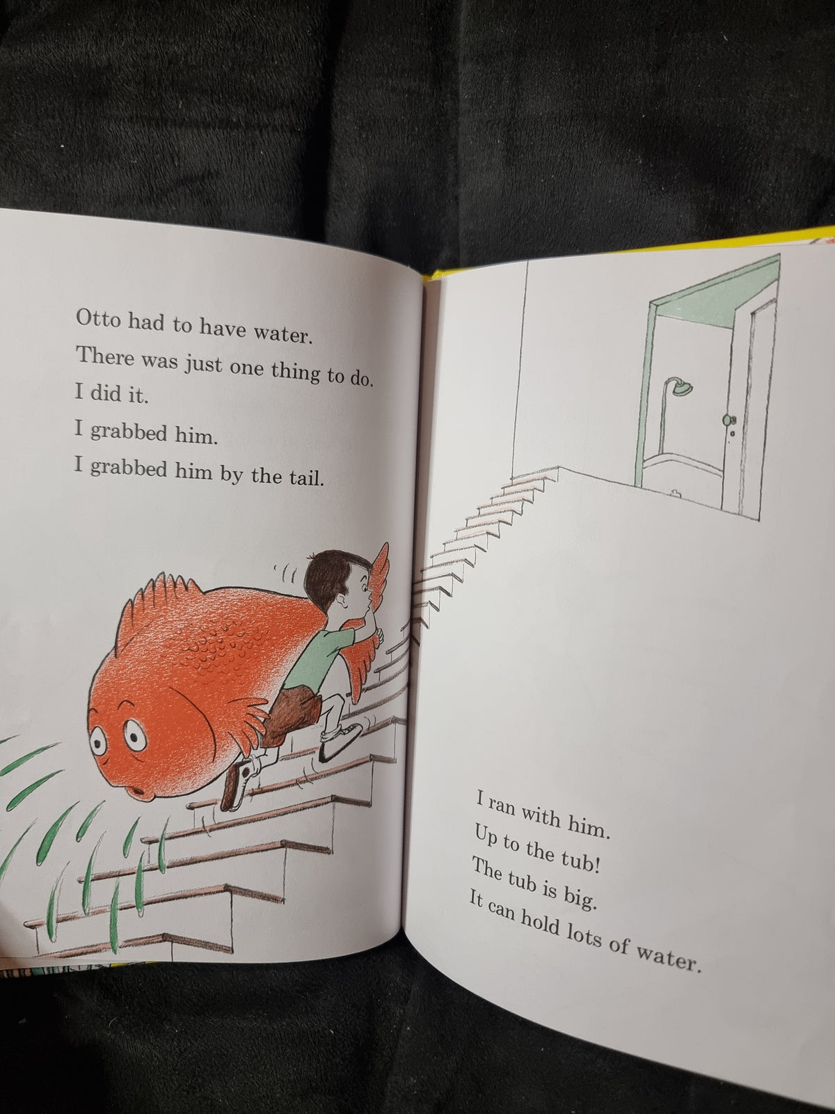 Dr. Seuss A Fish Out of Water