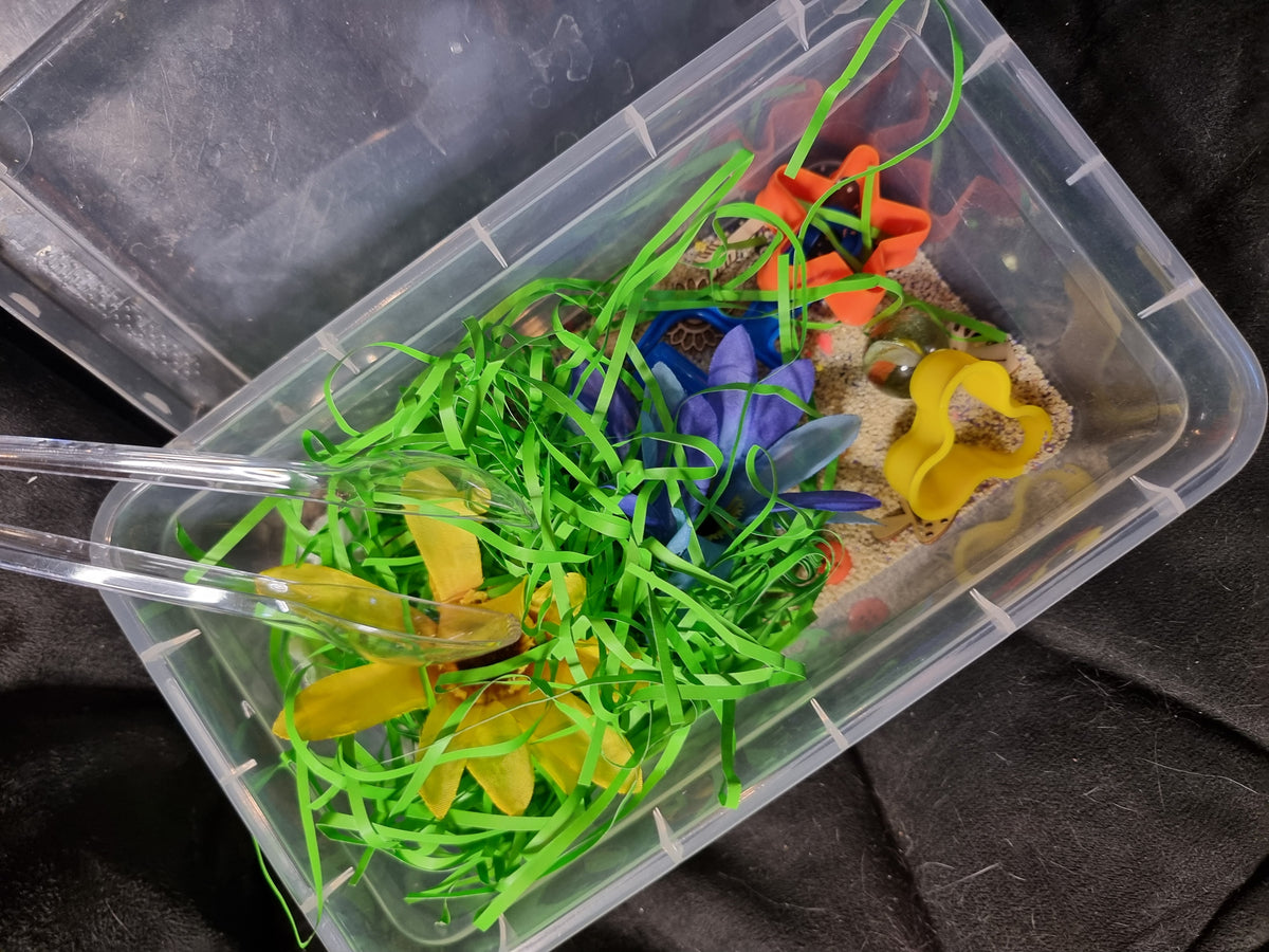 Sensory Bin