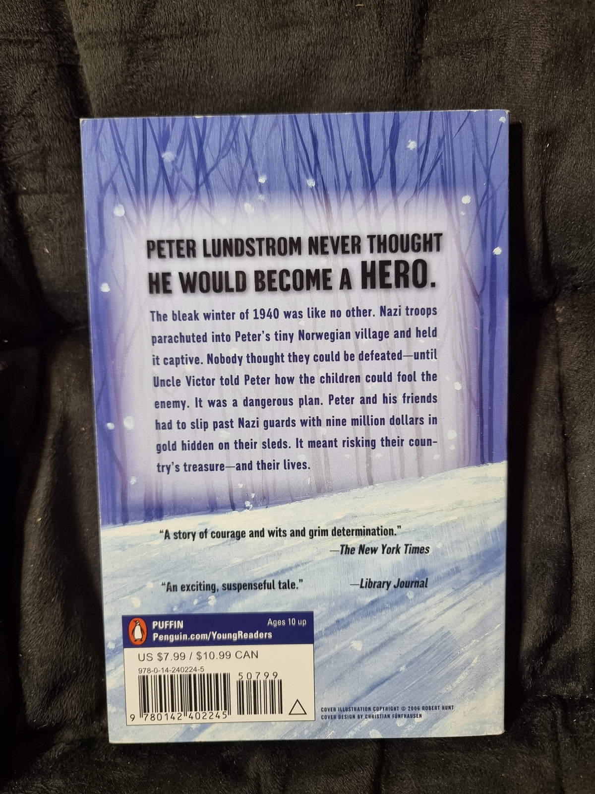 Snow Treasure