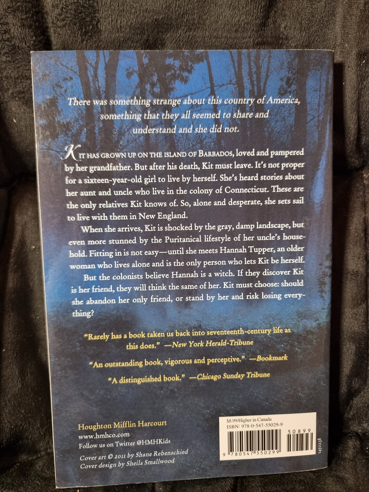 The Witch of Black Bird Pond