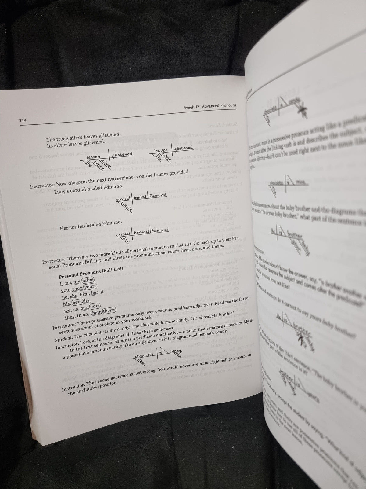 Grammar For The Well Trained Mind Core Instructor Text Years 1 to 4