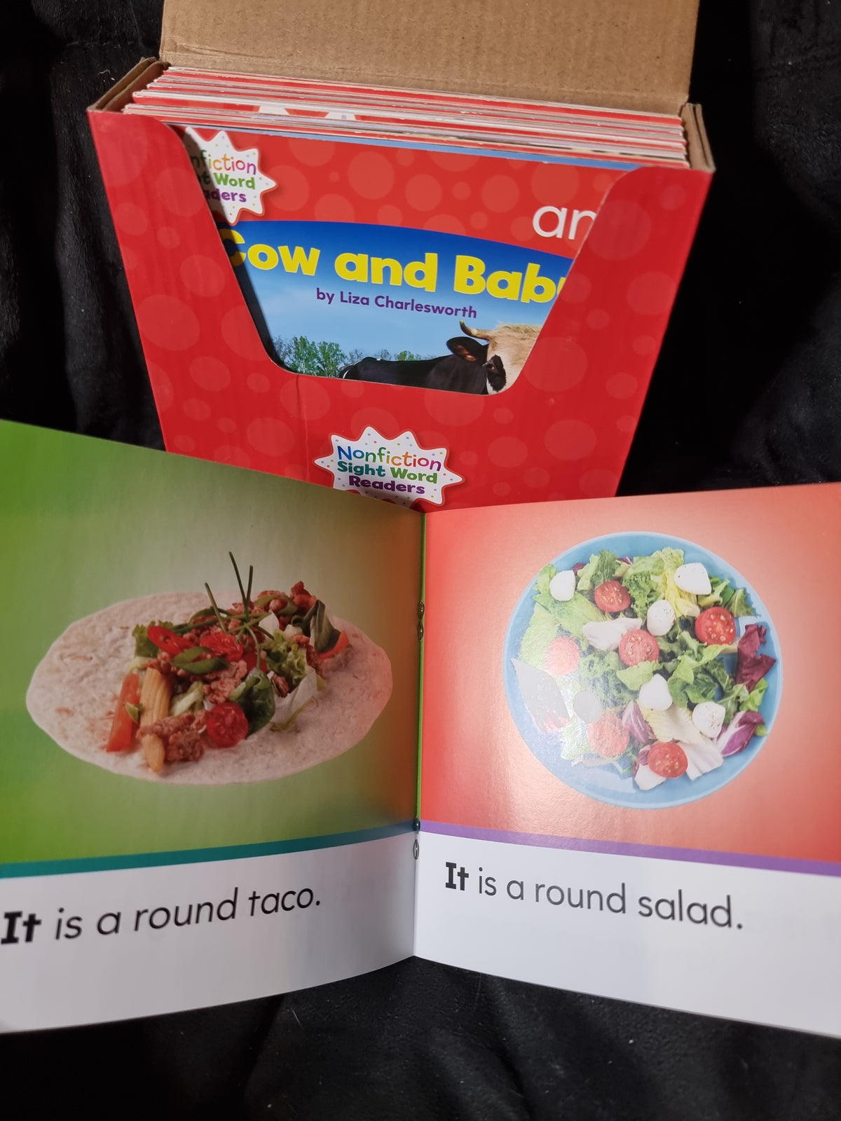 Scholastic Non-Fiction Readers Set
