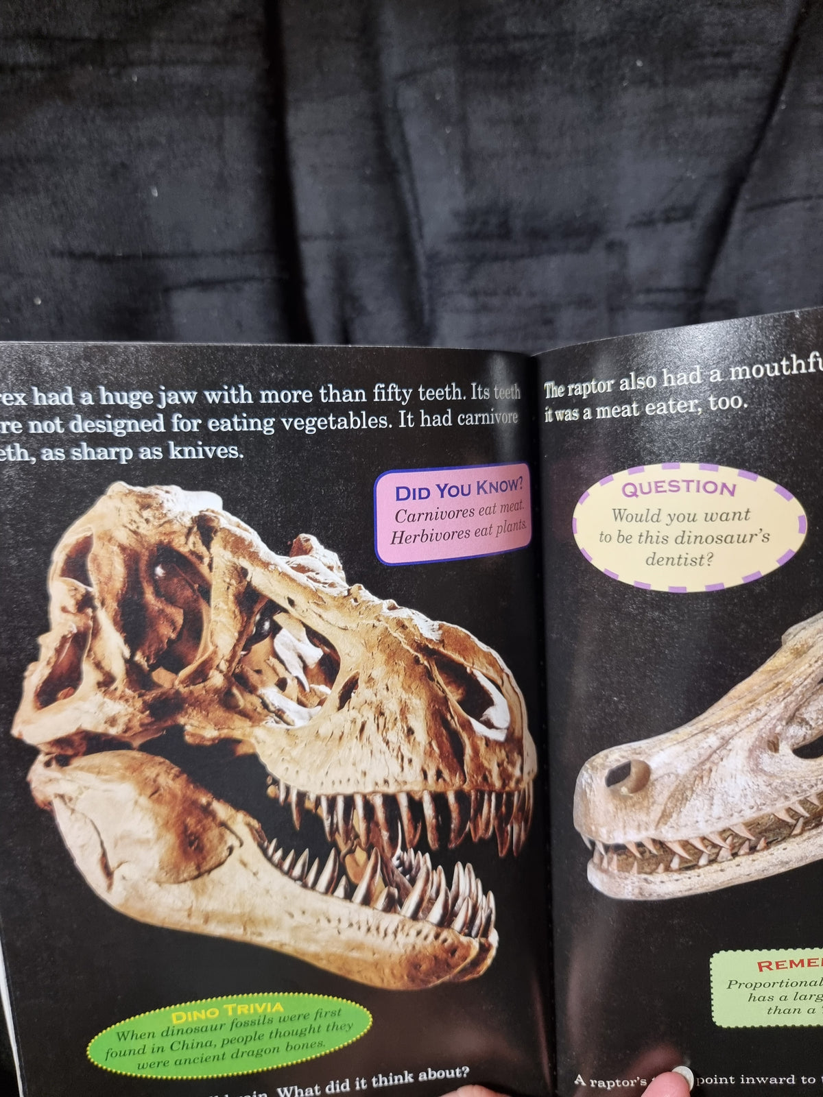 Who Would Win? Tyrannosaurus Rex vs. Velociraptor