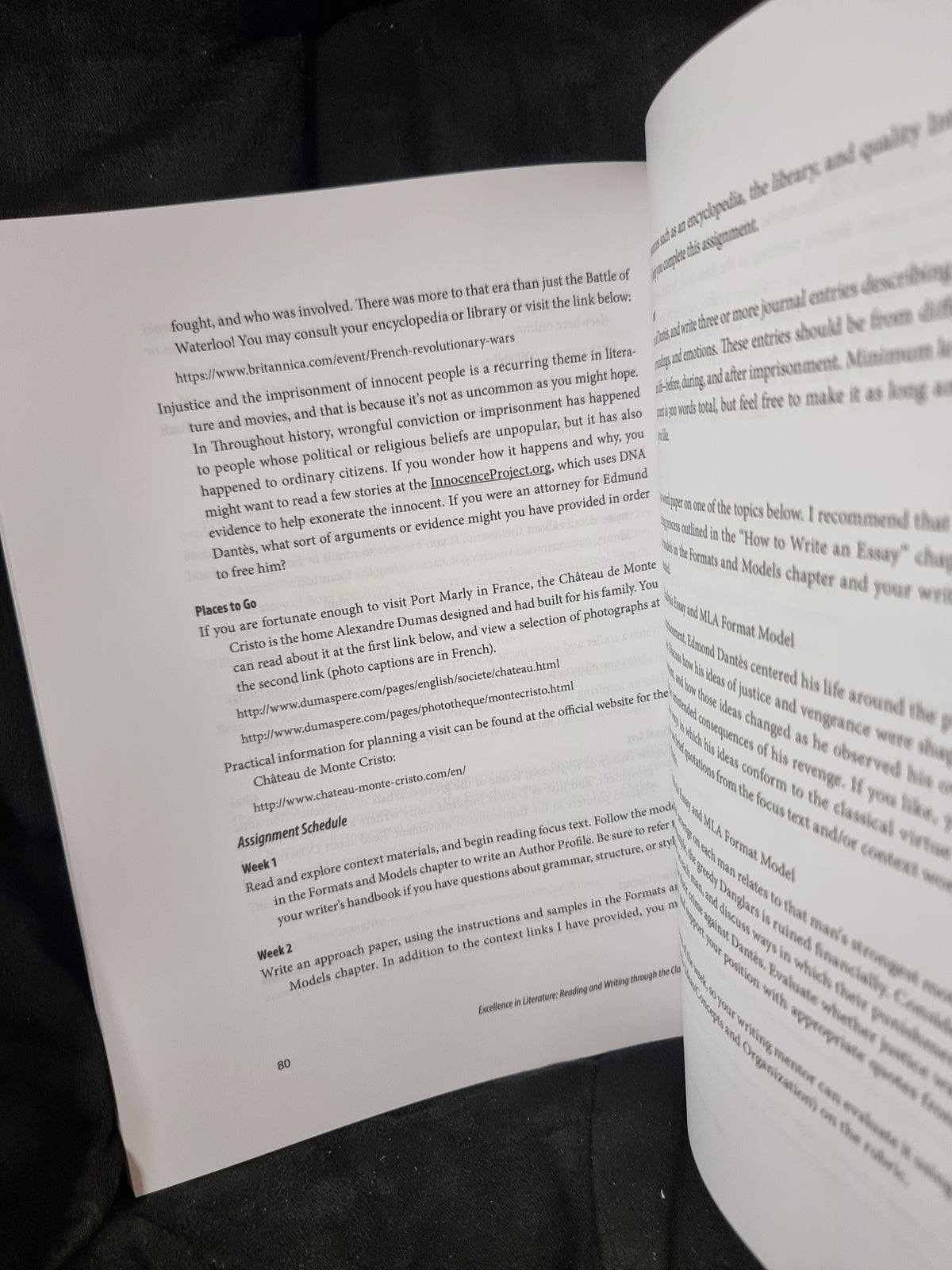 Excellence in Writing Literature and Composition