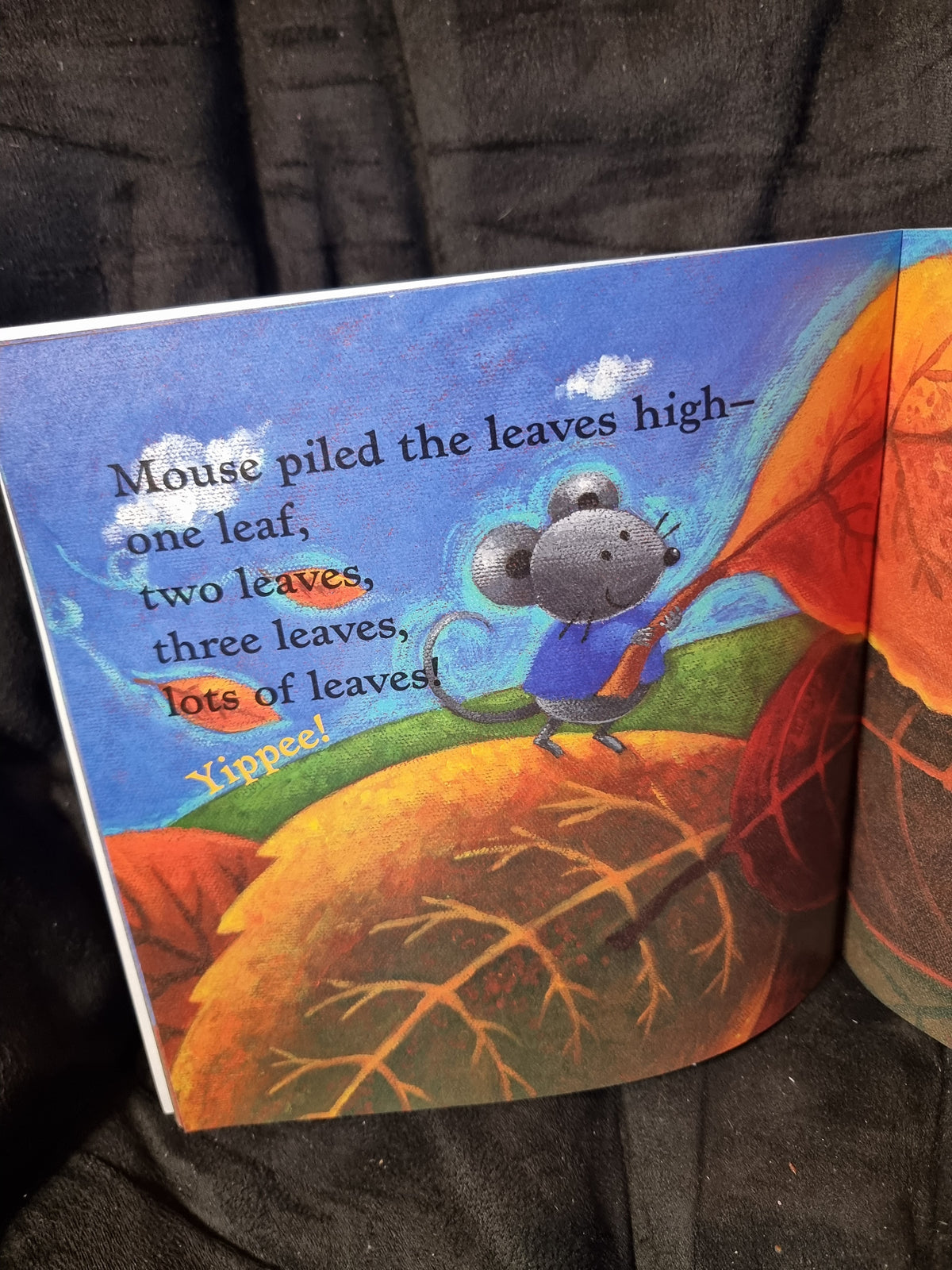Mouse's First Fall