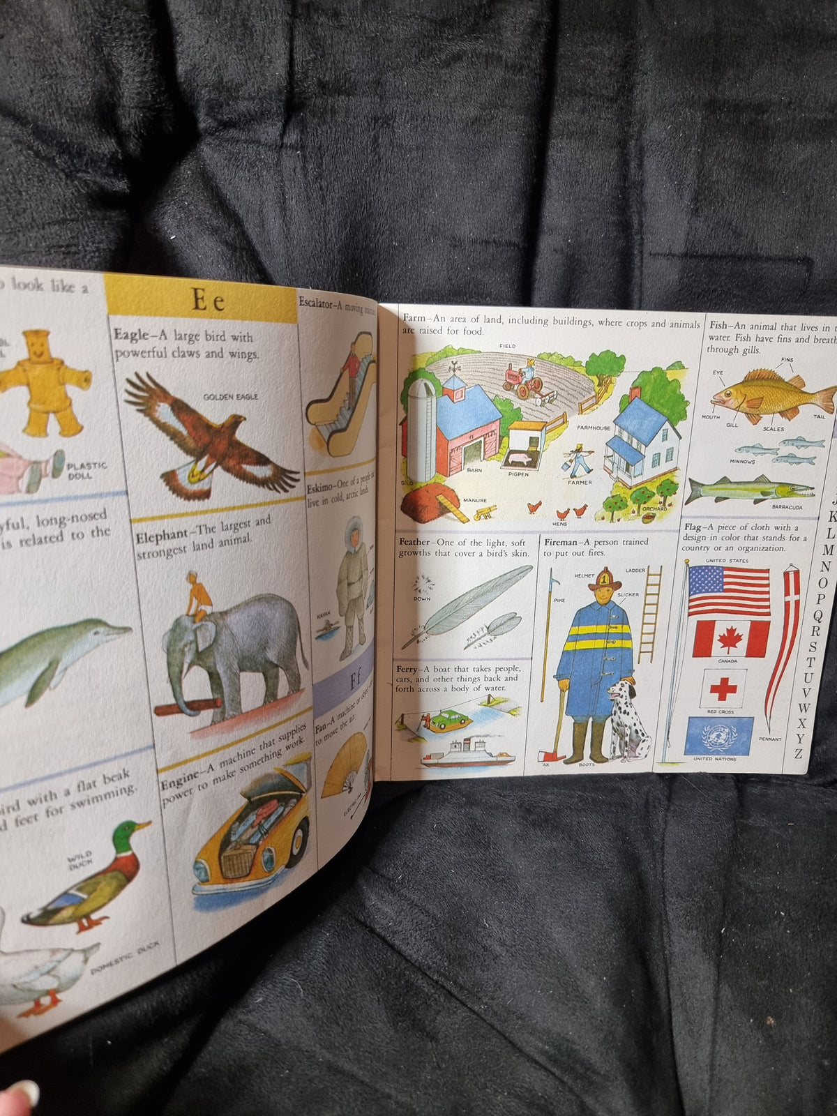 My First Picture Dictionary