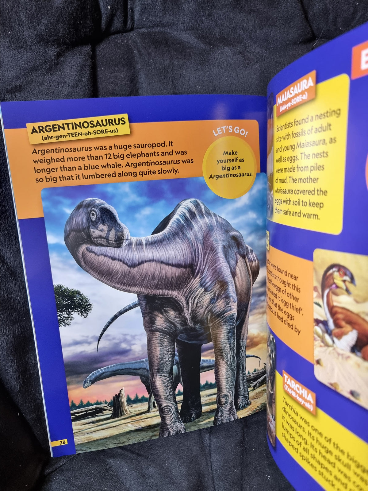 National Geographic Kids Dinosaurs