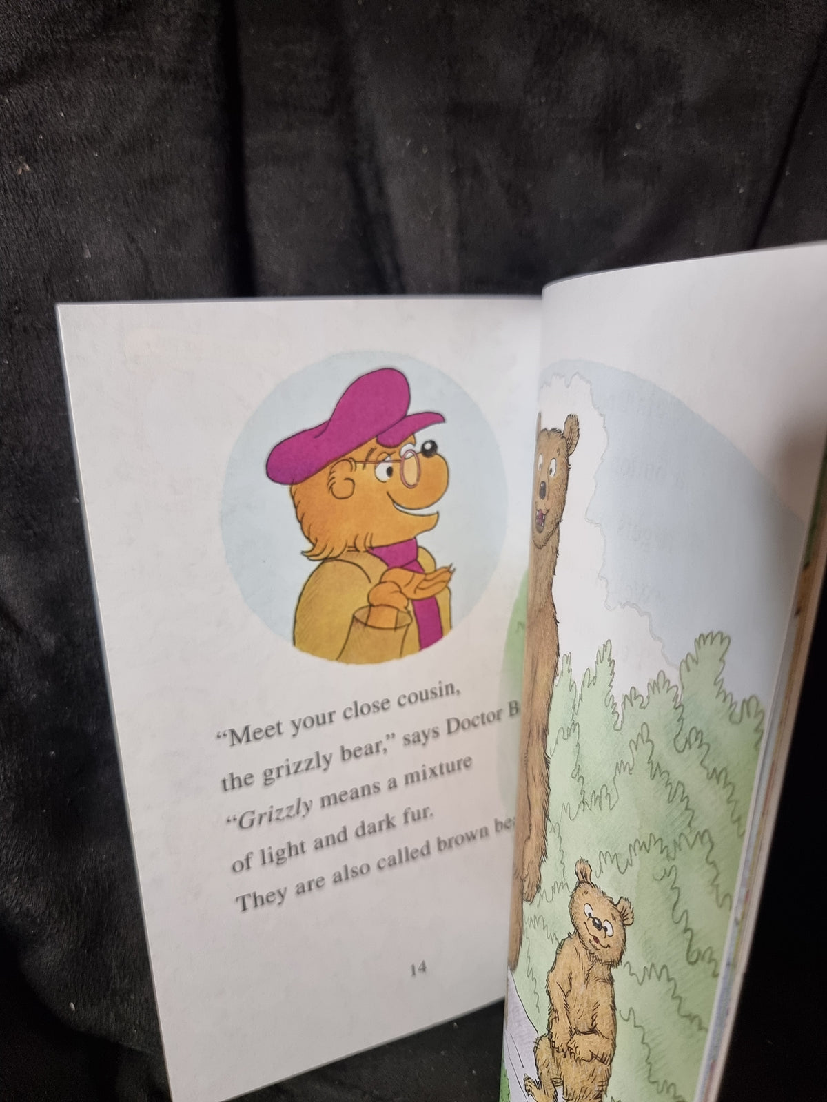 Berenstain Bears Here Come the Bears