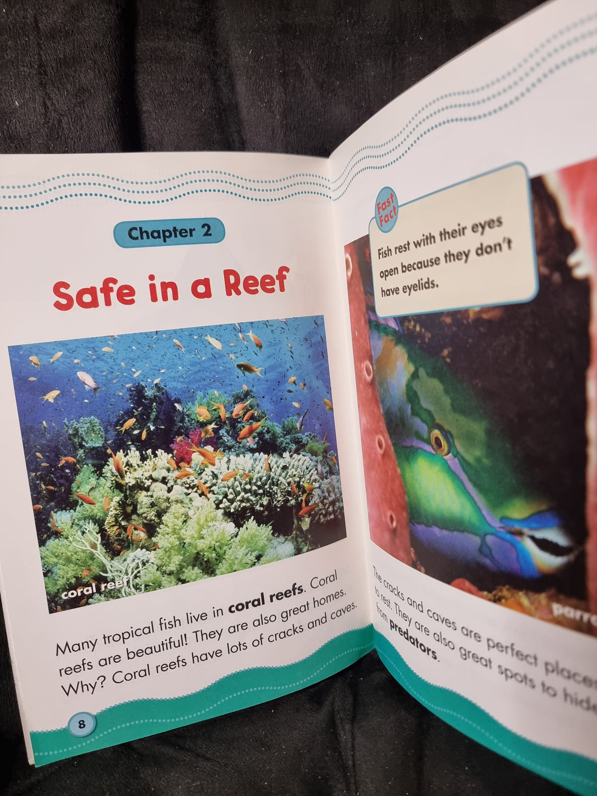 Science Vocabulary Reader Tropical Fish