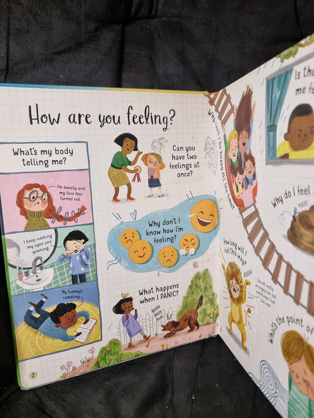 Usborne Lift the Flap Questions and Answers About Feelings