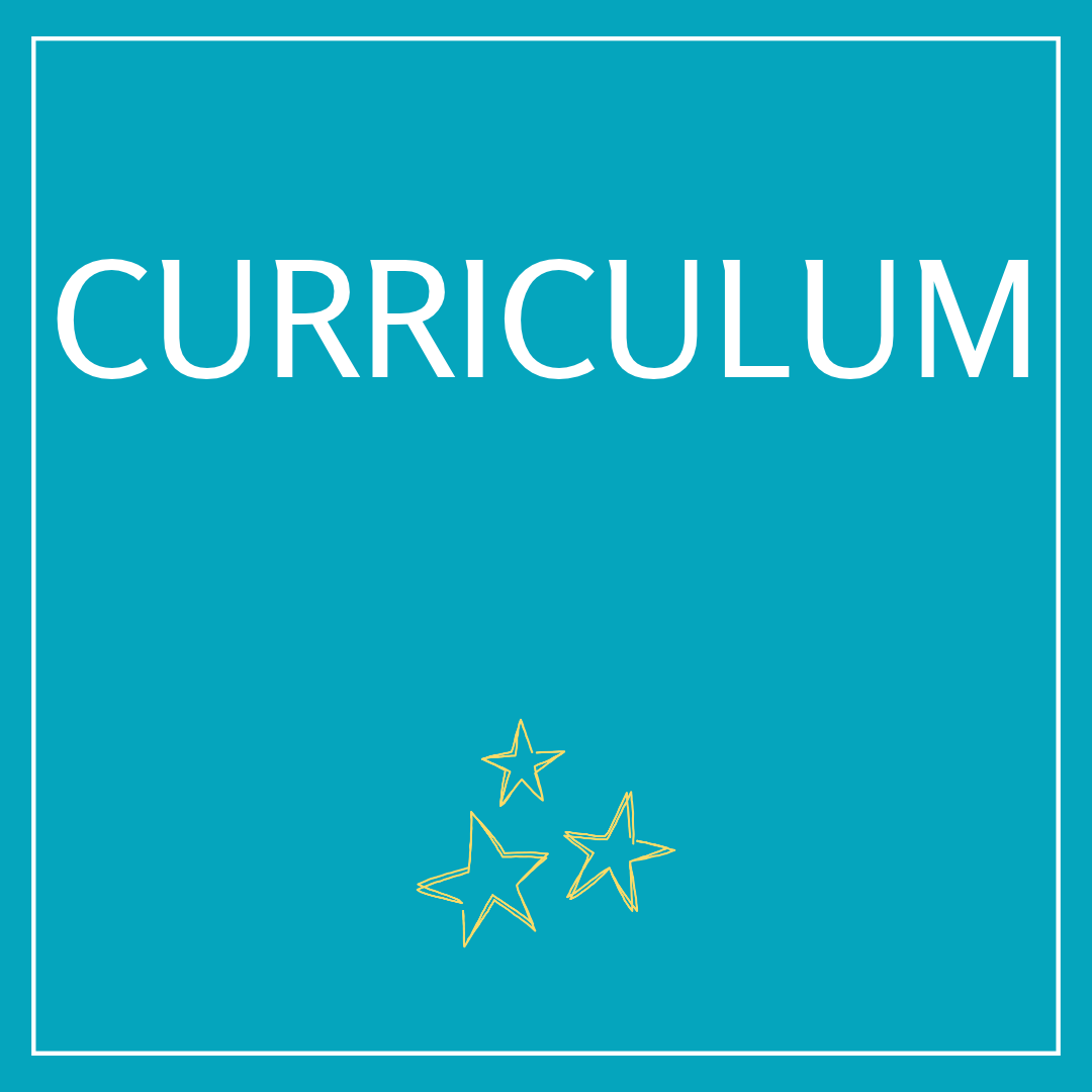 Curriculum