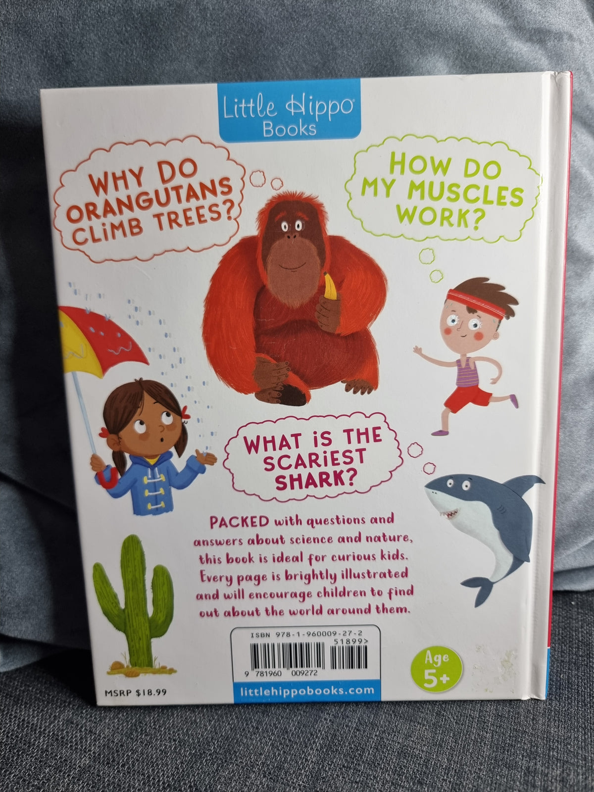 My Fun Book of Questions and Answers