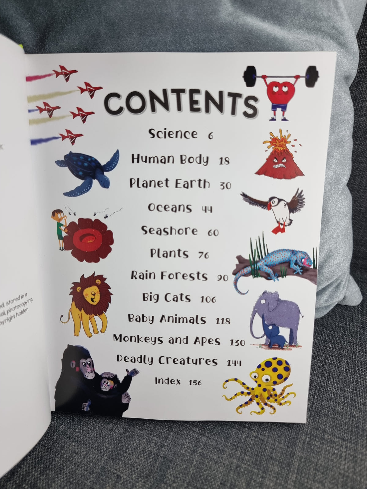My Fun Book of Questions and Answers