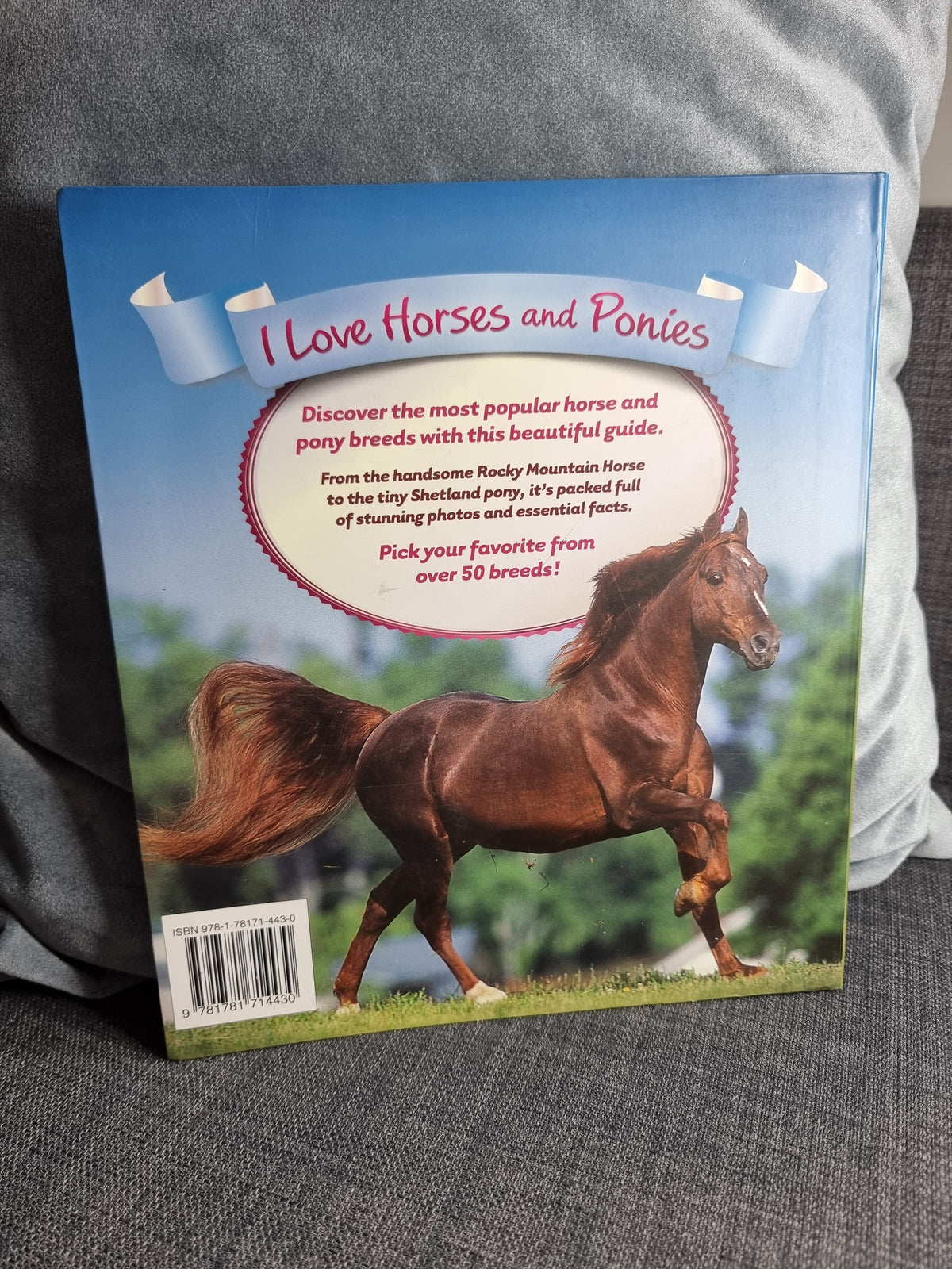 I Love Horses and Ponies