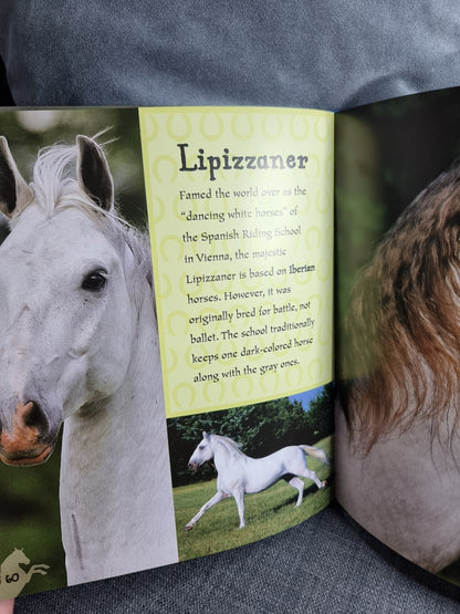 I Love Horses and Ponies