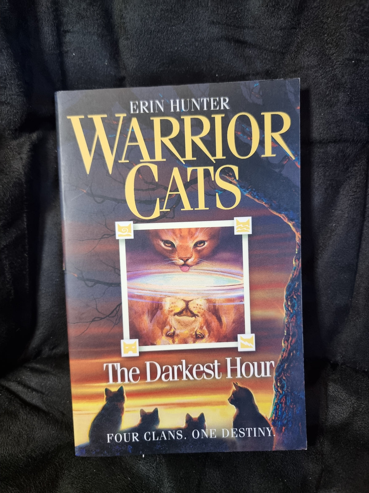 Warrior Cats - The Darkest Hour