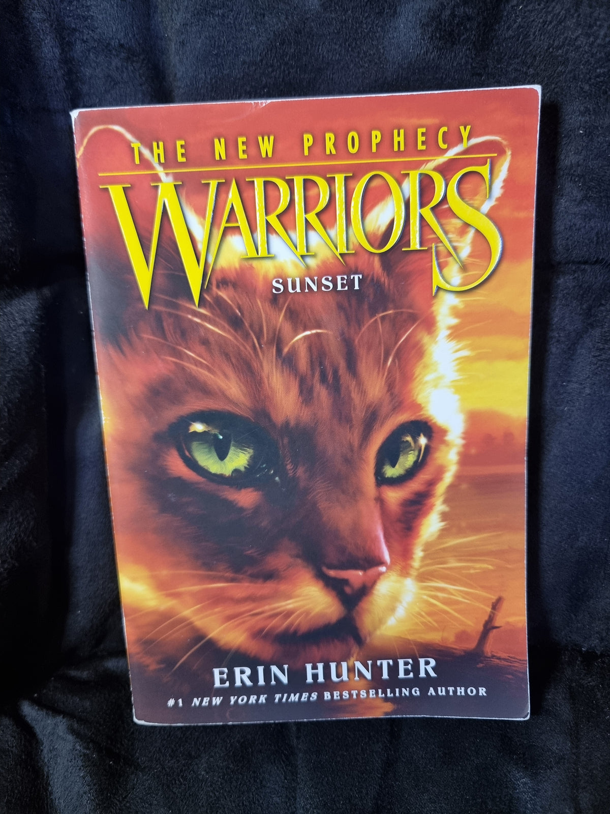 Warriors - Sunset