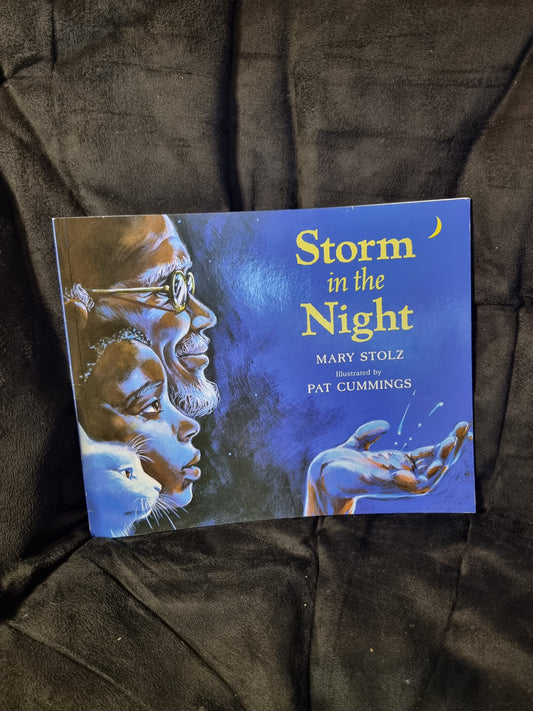 Storm in the Night
