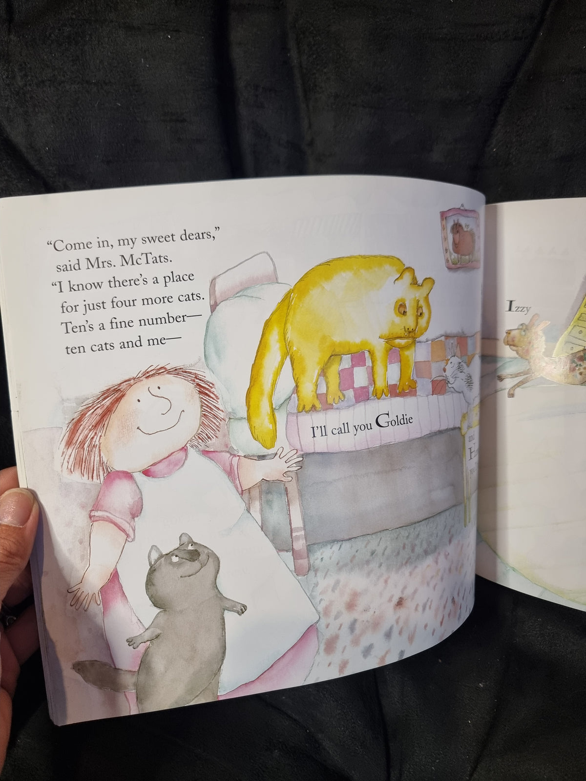 Mrs. McTats and her House Full of Cats