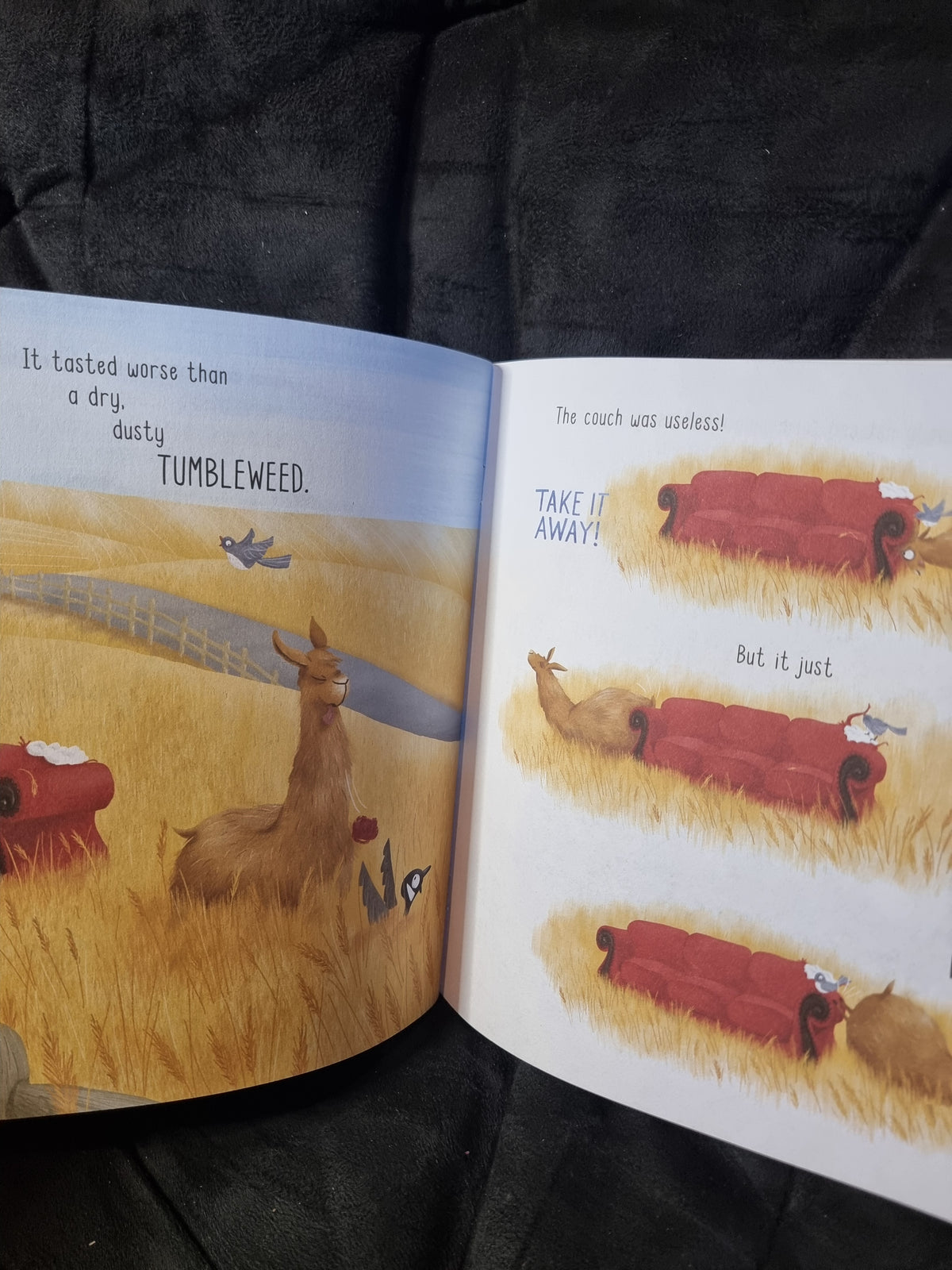 A Couch for Llama