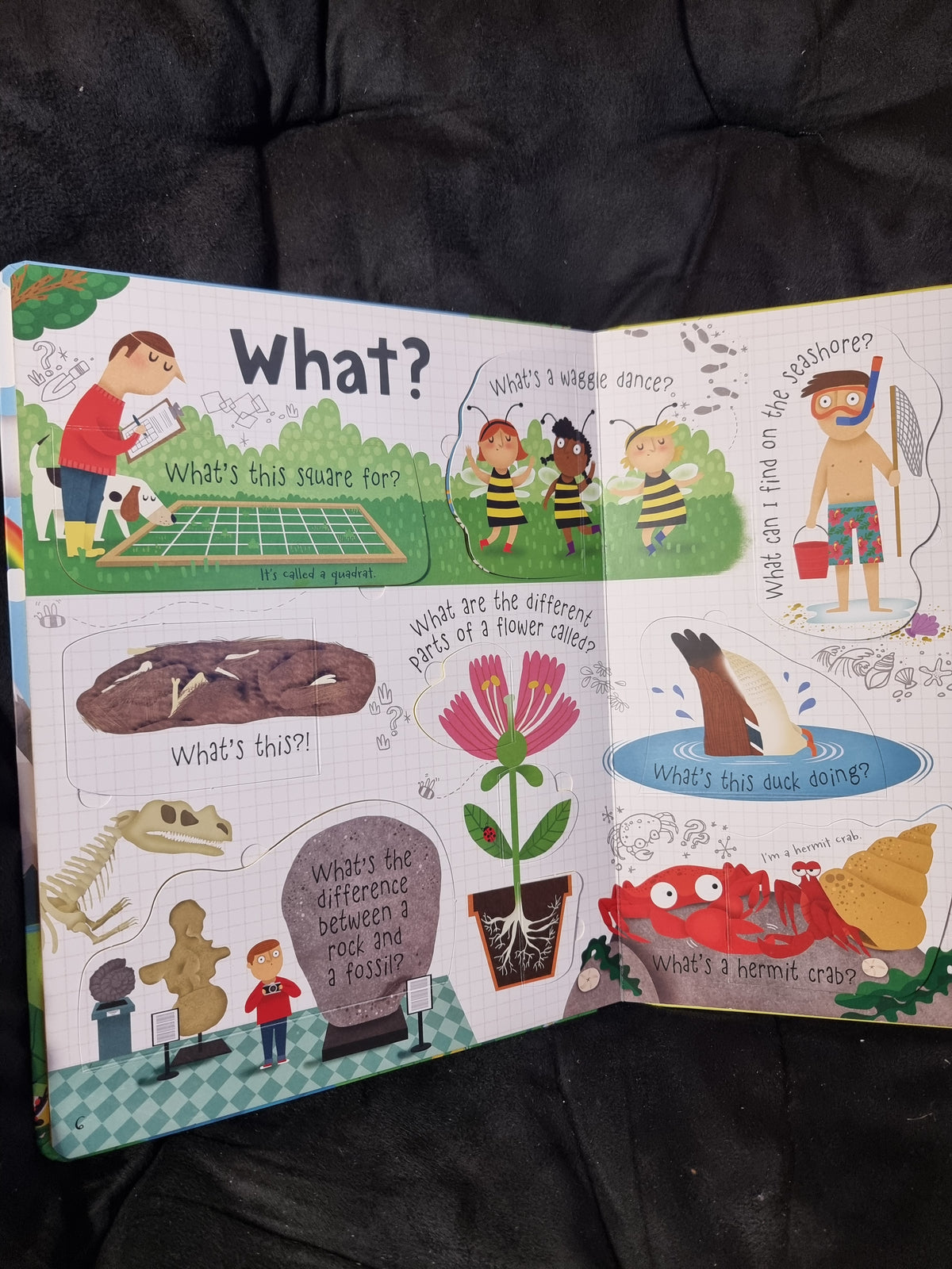 Usborne Questions and Answers about Nature