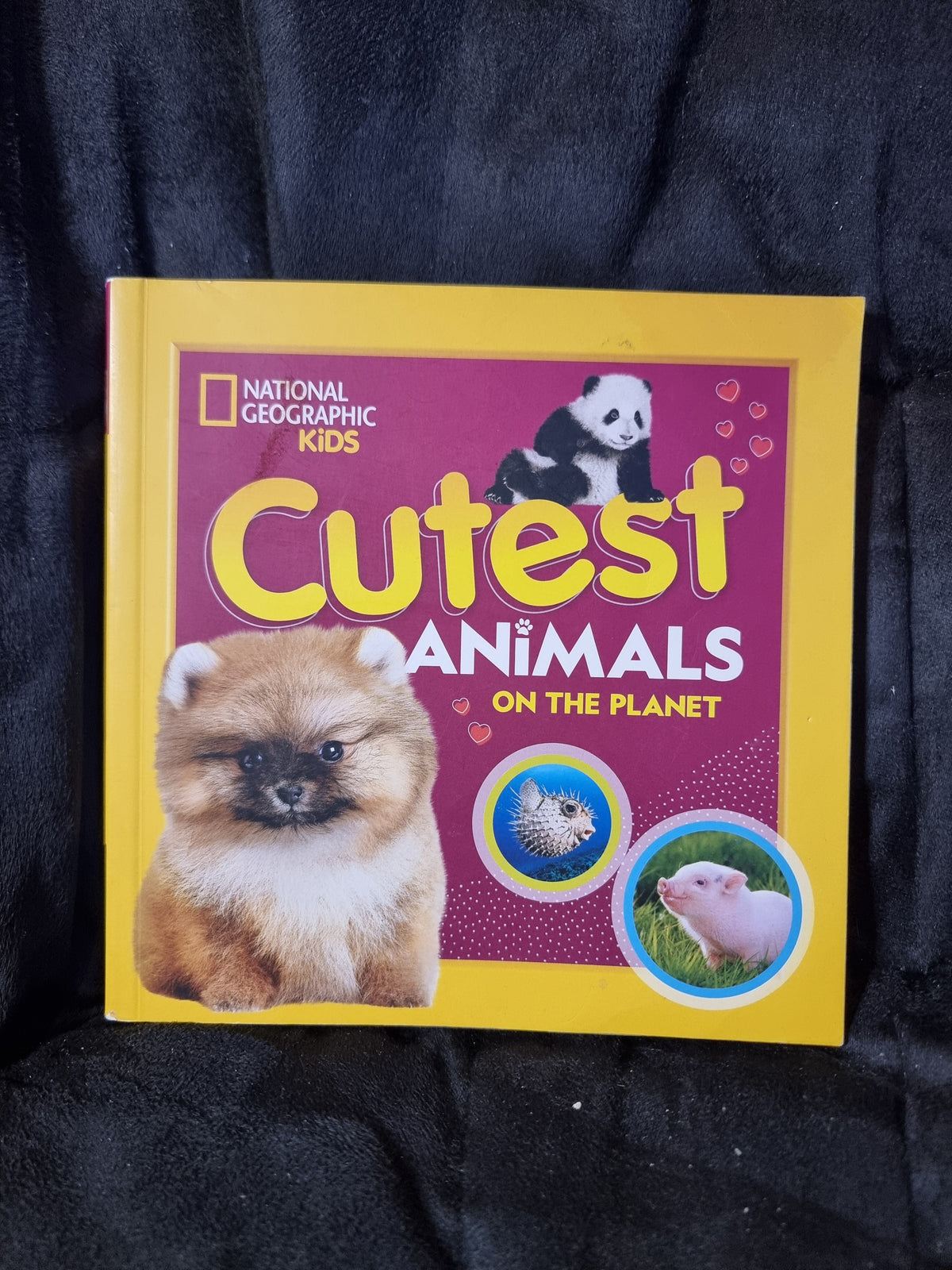 National Geographic Kids - Cutest Animals On The Planet