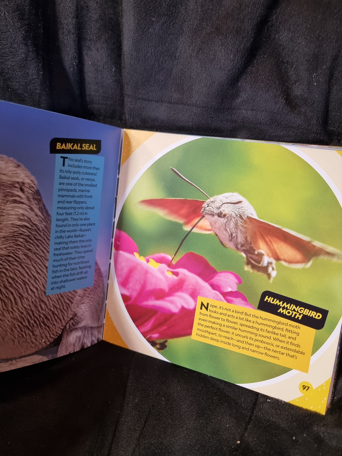 National Geographic Kids - Cutest Animals On The Planet