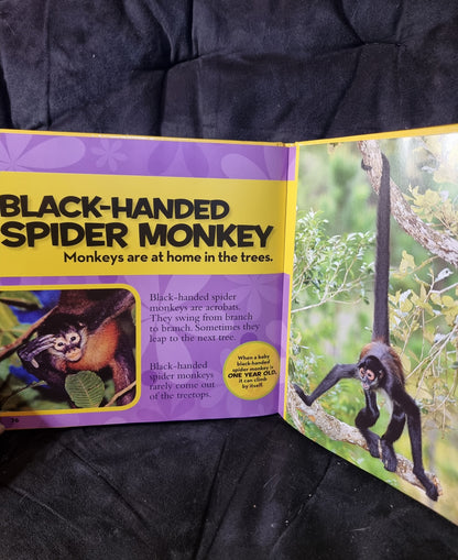 National Geographic Kids Little Kids First Big Book of Animals