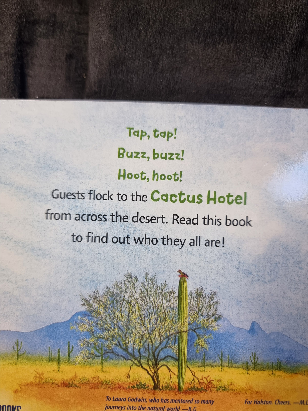 Welcome to the Cactus Hotel