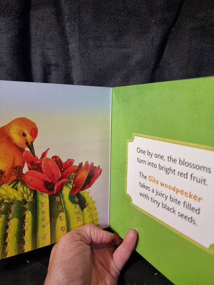 Welcome to the Cactus Hotel