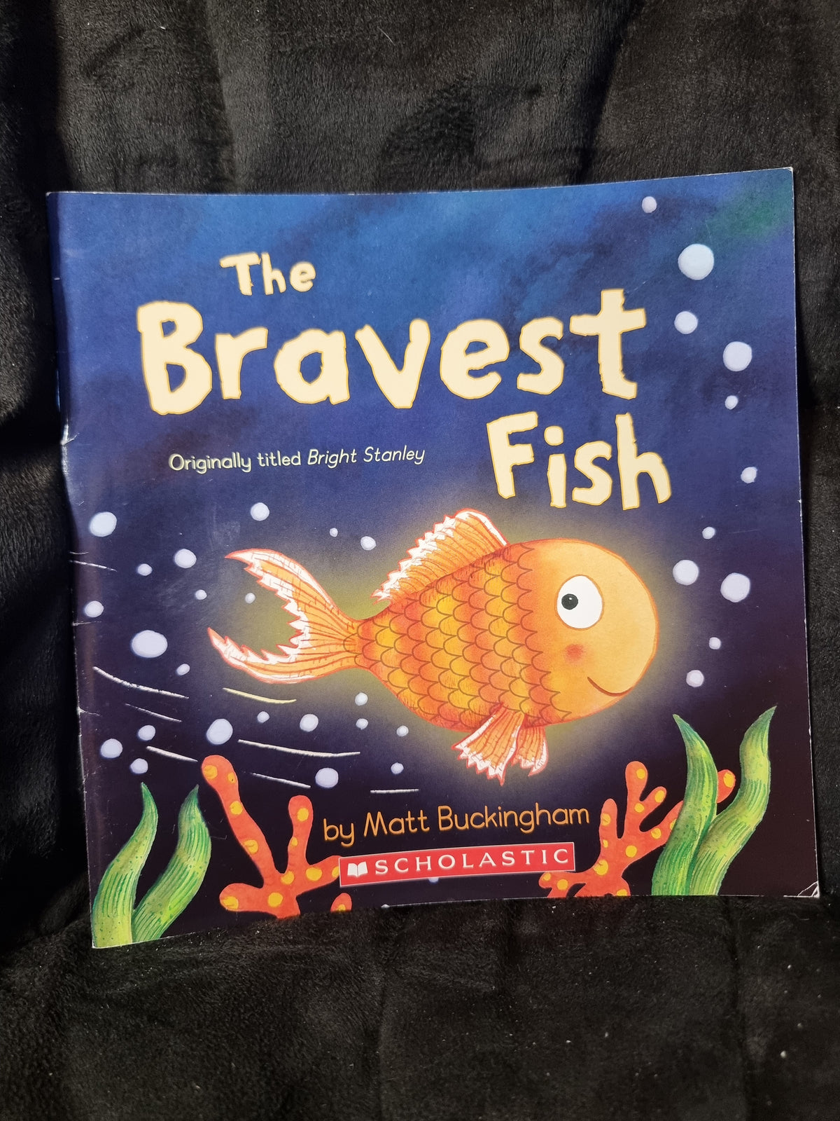 The Bravest Fish