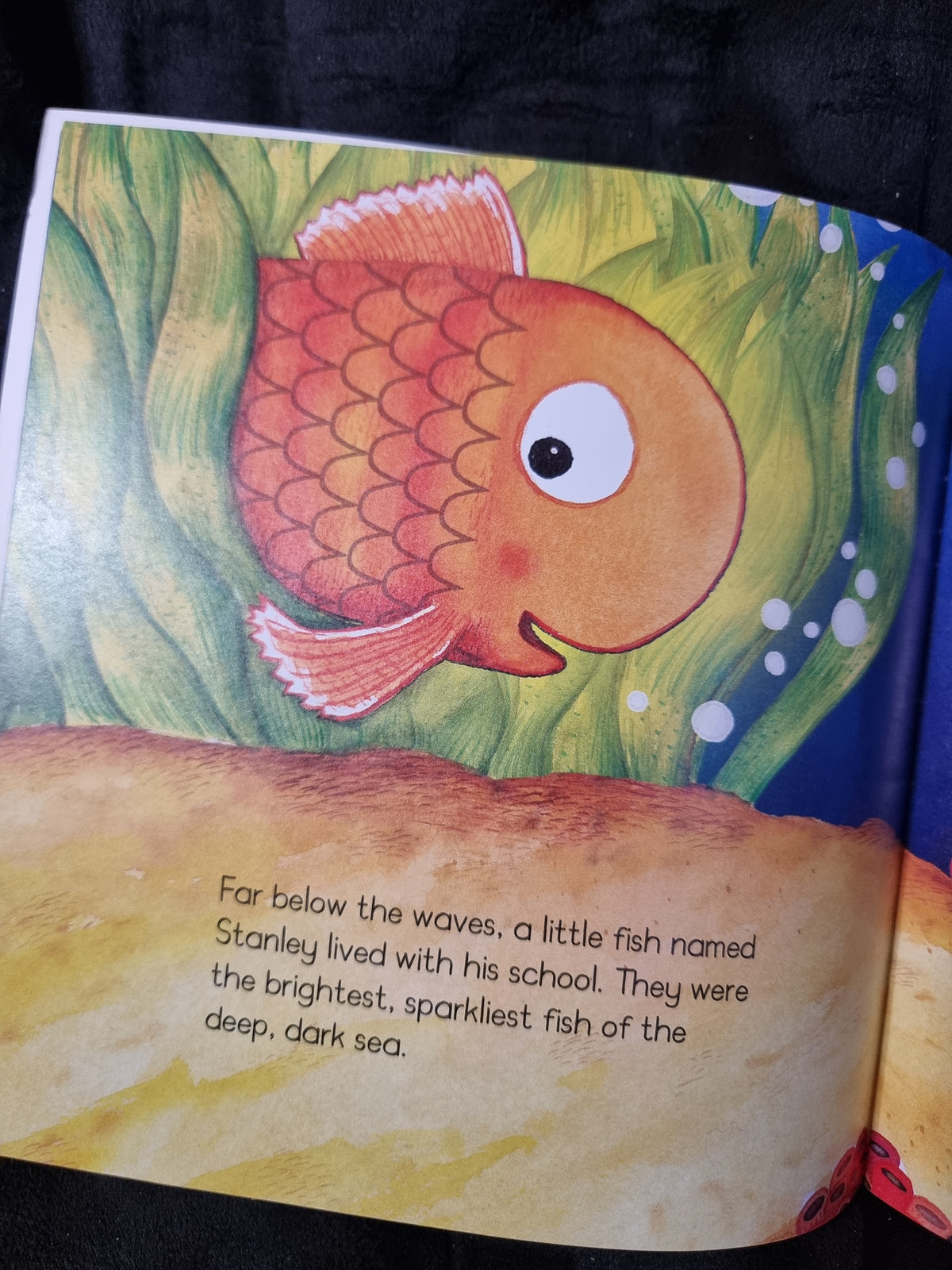 The Bravest Fish