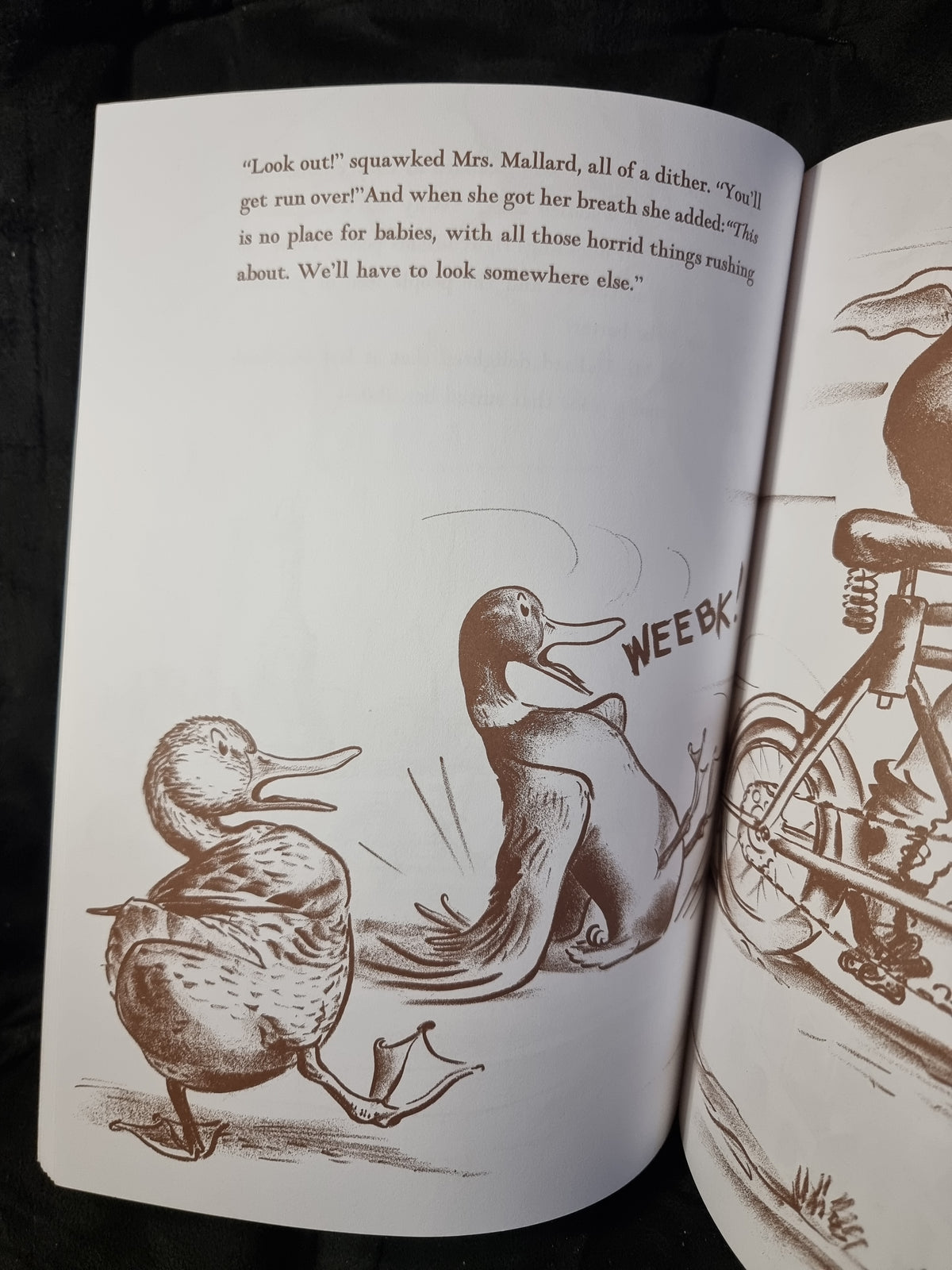 Make Way for Ducklings