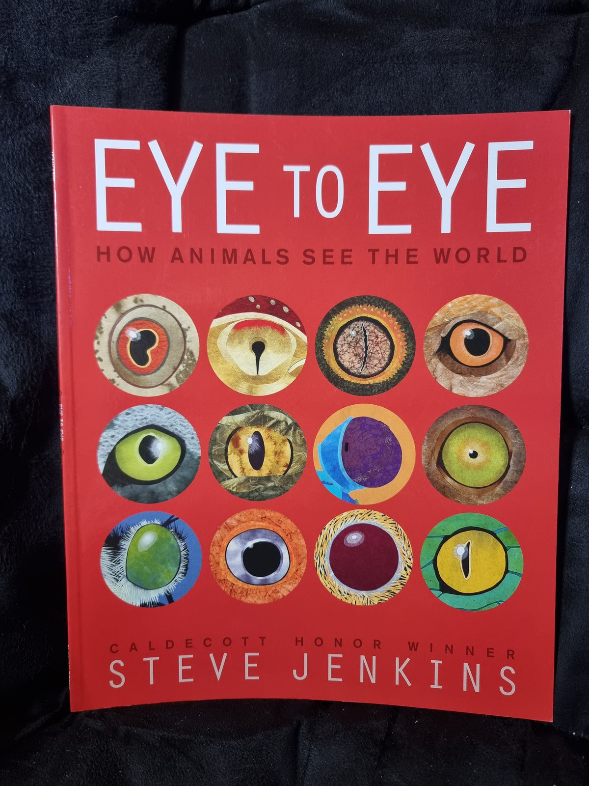 Eye to Eye - How Animals See the World