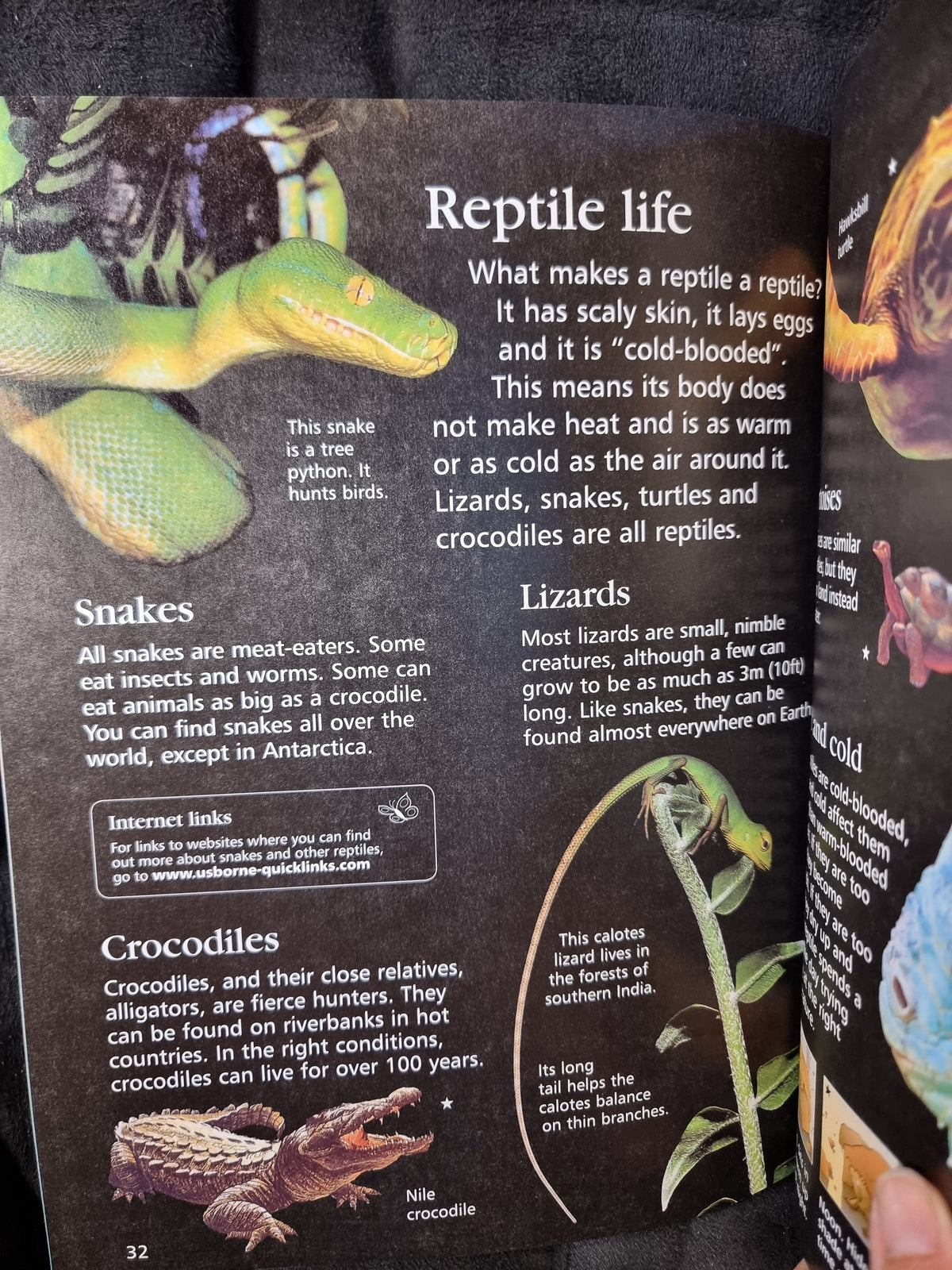 Usborne First Encyclopedia of Animals