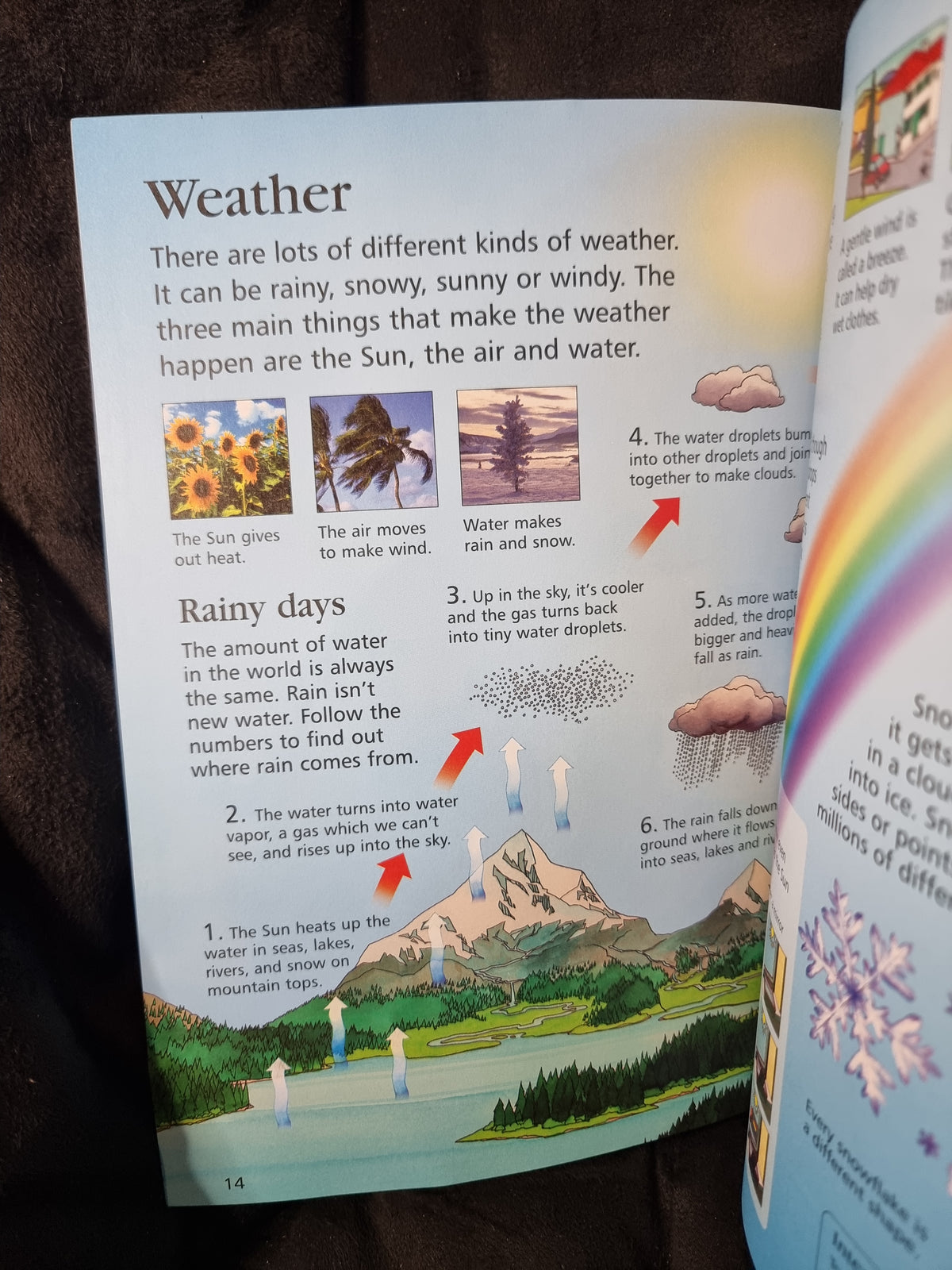 Usborne First Encyclopedia of Science