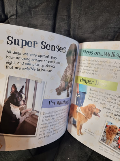 The Dog Lover's Guide