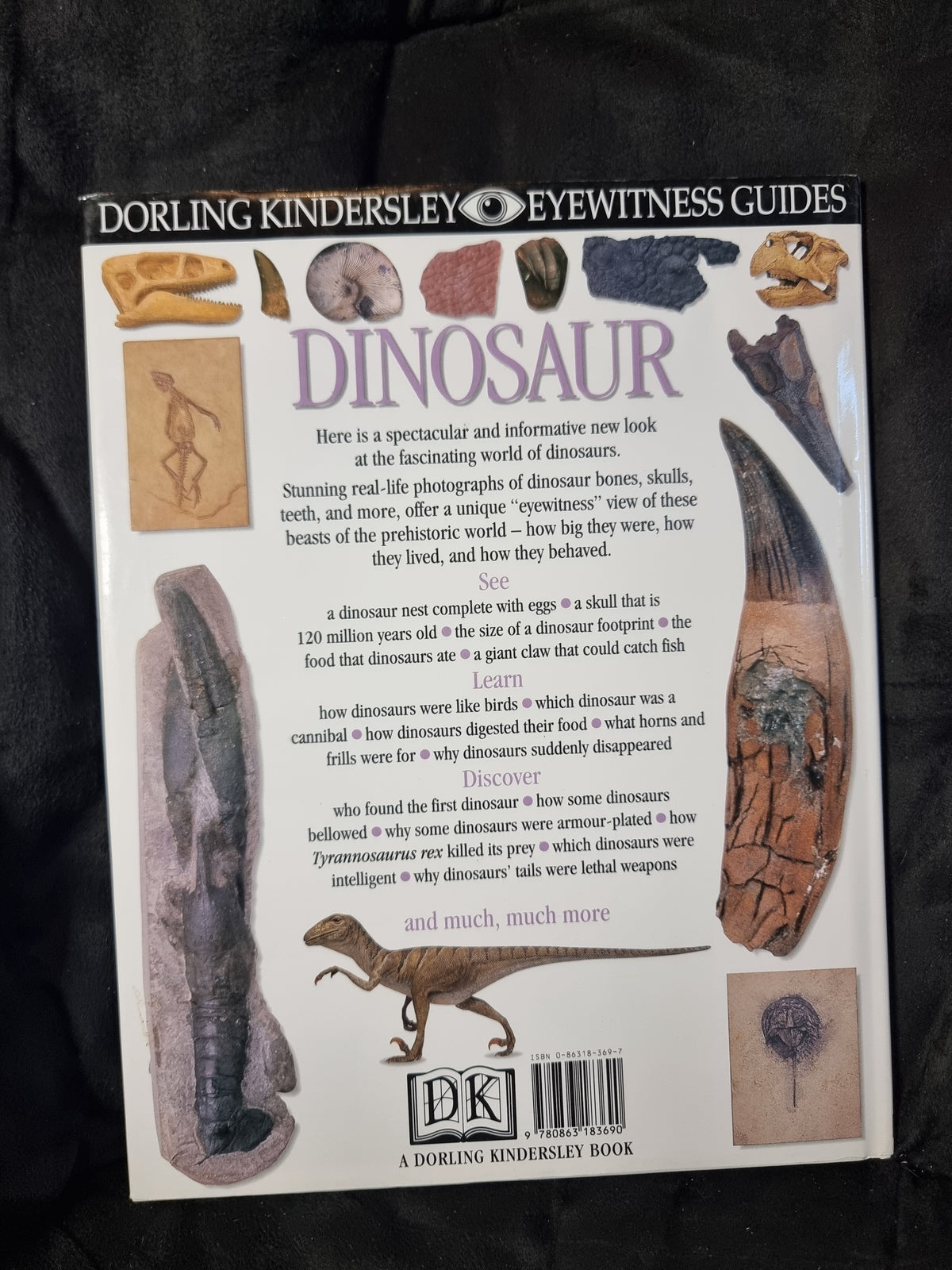 DK Dinosaur