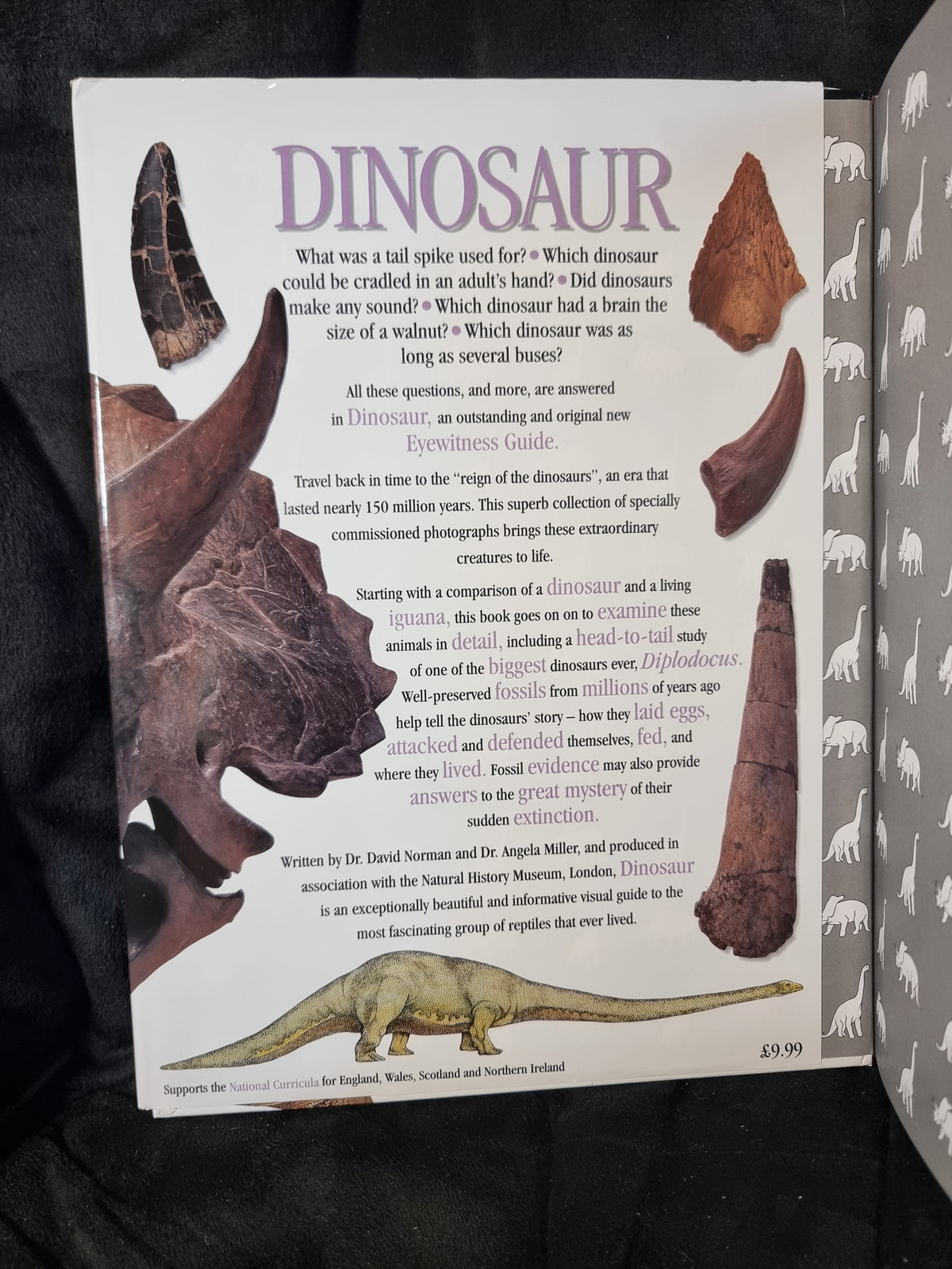 DK Dinosaur