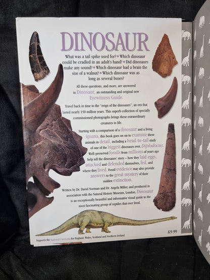 DK Dinosaur