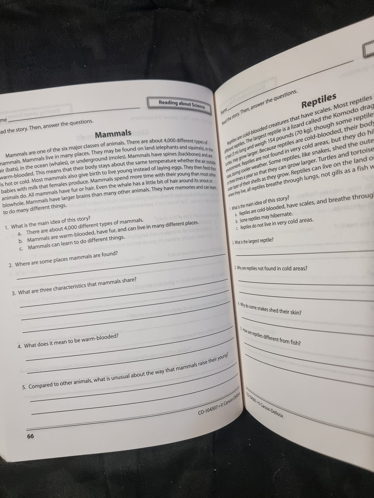 Reading Comprehension and Skills - Grade 5